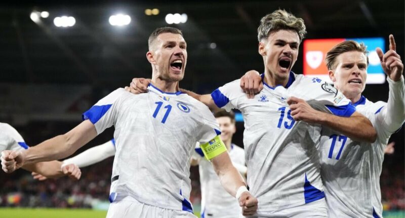 How 40-year-old Edin Dzeko defied the odds to lead Bosnia back to World Cup, Schalke back to Bundesliga