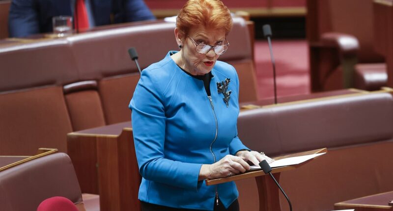 How Albo quietly rigged the rules against Pauline Hanson