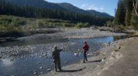 Human remains found in West Coast national park ID'd after 28 years