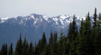 Human remains found in sleeping bag in national park identified after 26 years