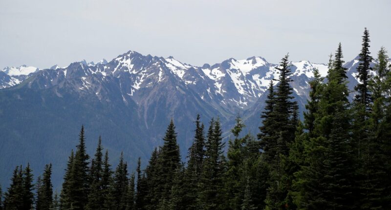 Human remains found in sleeping bag in national park identified after 26 years