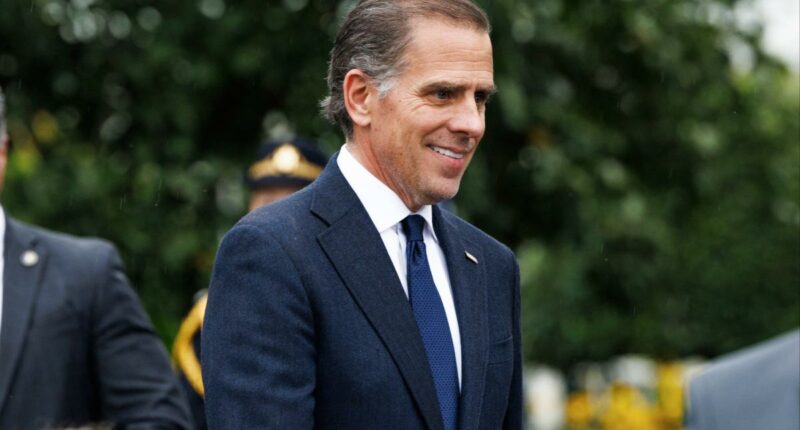 Hunter Biden charm offensive has Trump talking 2028 as former first son tries to rewrite scandal-plagued history