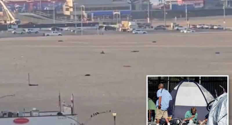 Iconic Santa Monica beach turns into 'sleeping bag city' at sunrise -- as locals erupt
