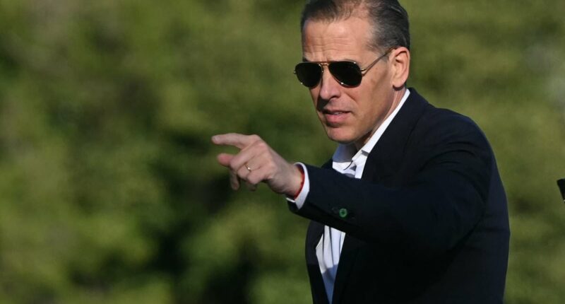 Inside the Democrat plot to deploy Hunter Biden as secret 'MAGA whisperer' to capture disillusioned Trump supporters amid midterms desperation