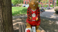 Join the beaver hunt: Toronto neighborhood offers unique World Cup-themed scavenger hunt