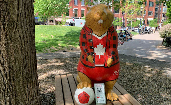 Join the beaver hunt: Toronto neighborhood offers unique World Cup-themed scavenger hunt