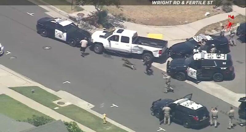 K-9 ends wild chase with suspect in stolen pickup truck from Fontana to Lynwood