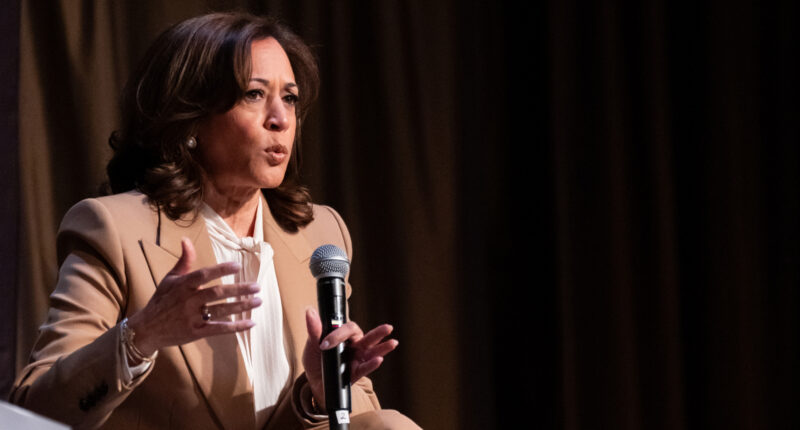 Kamala Harris eyes possible 2028 comeback, but some former allies look to 'fresh' faces