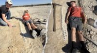 Kansas boy discovers 15-foot marine reptile fossil from 85 million years ago during geology field trip