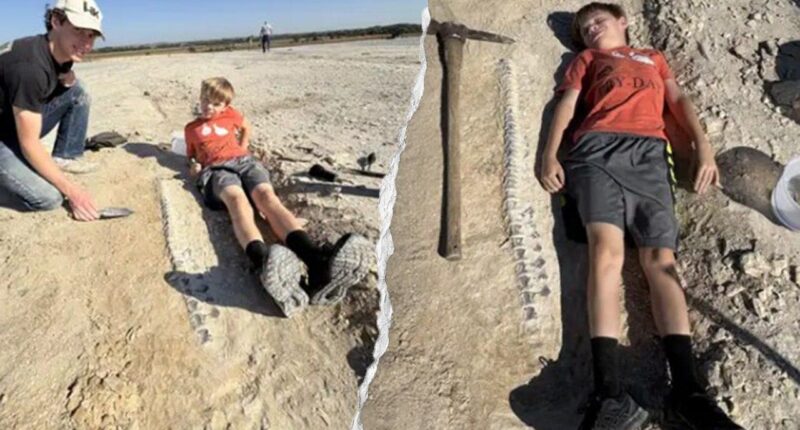 Kansas boy discovers 15-foot marine reptile fossil from 85 million years ago during geology field trip