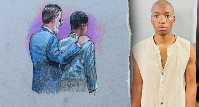 Karmelo Anthony supporter reportedly fired as other backers face backlash over verdict remarks