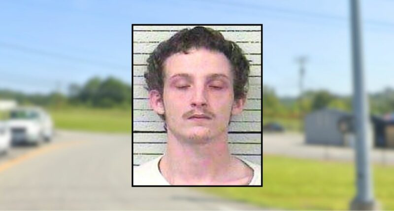 Kids wander next to busy road after dad falls asleep: Cops