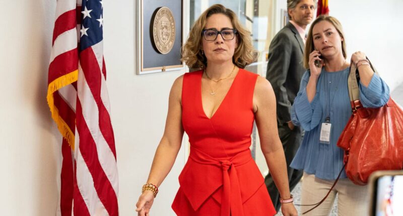 Kyrsten Sinema's steamy affair fallout with married bodyguard takes dark turn as she demands therapy records for his ex-WIFE