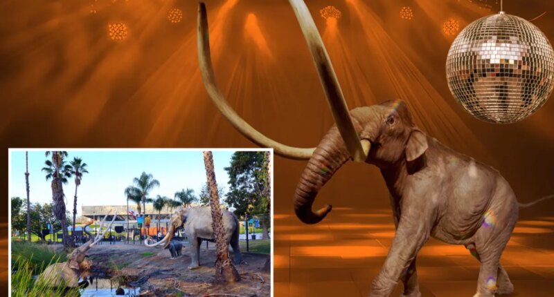 LA's La Brea Tar Pits Museum to host disco party ahead of 2-year closure
