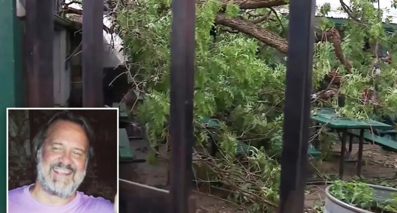 Lawsuit filed after tree dubbed 'Widow Maker' fatally crushes Texas father at BBQ restaurant