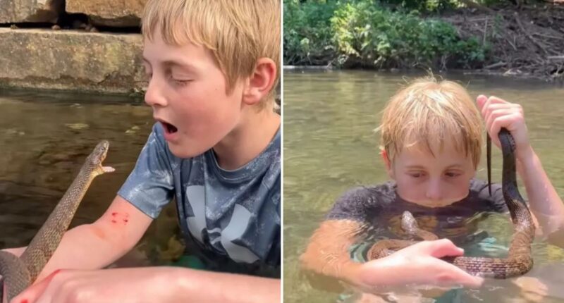 'Little Steve Irwin' snatches up snakes, braves their bites for fun
