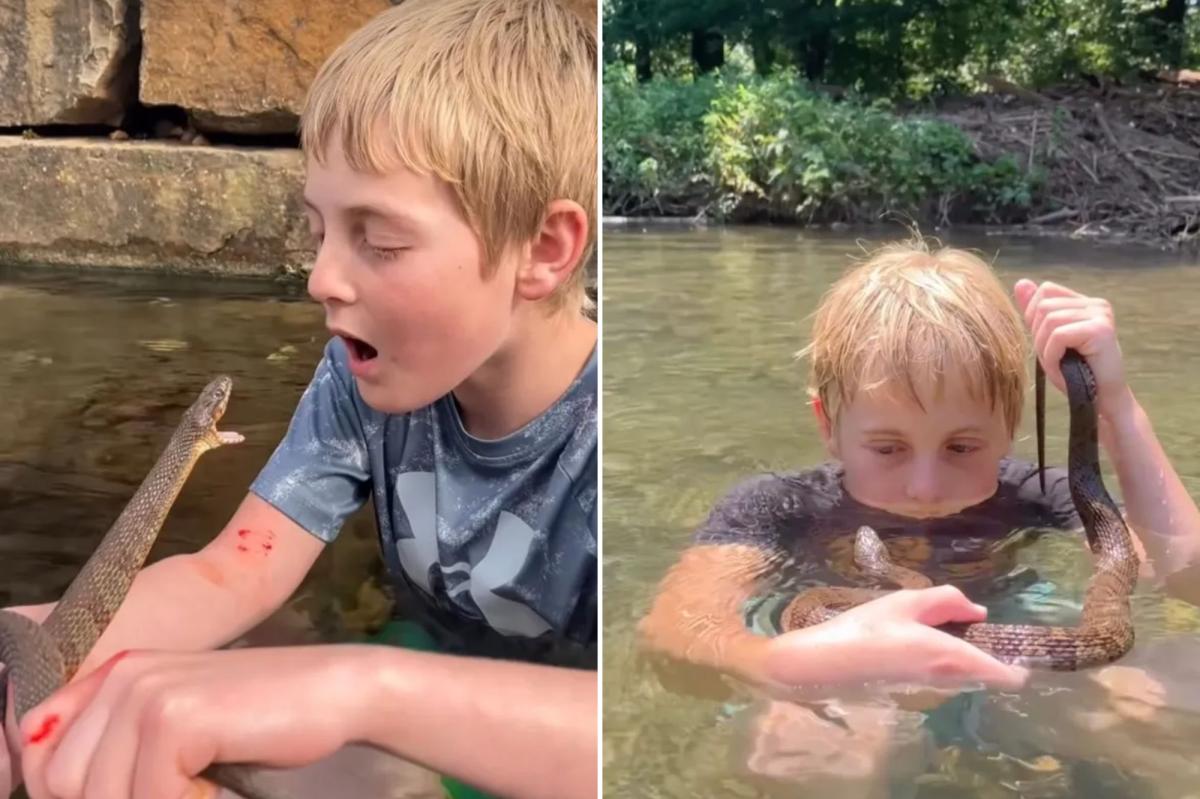 Young Wildlife Enthusiast Handles Snakes with Confidence and Curiosity