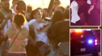 Long Beach teens brawl in Belmont Shore