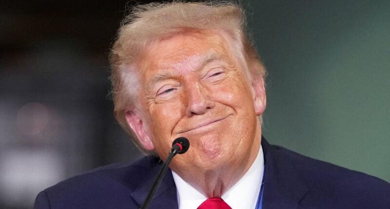 MAGA faces brutal warning over rampant advance of extraordinary new technology: 'It will decide the next election'