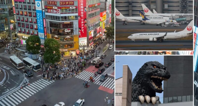 Major airline announces daily flights from California to Japan amid surging demand