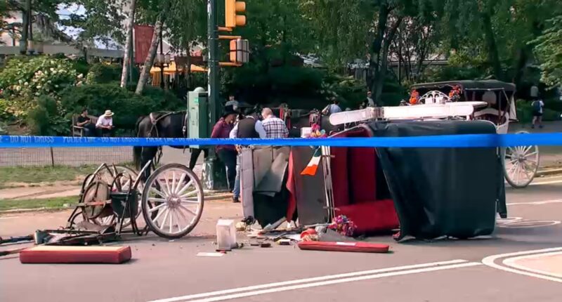 Man dies after carriage horse gets loose in New York City's Central Park, crash