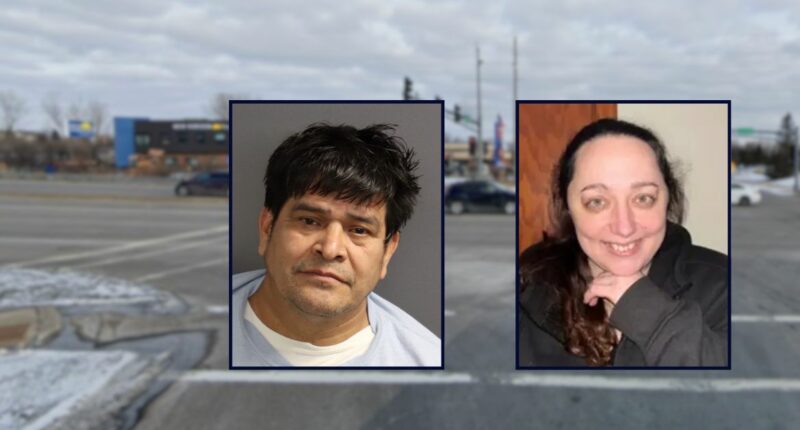 Man hit woman with CR-V and killed her, then left the scene