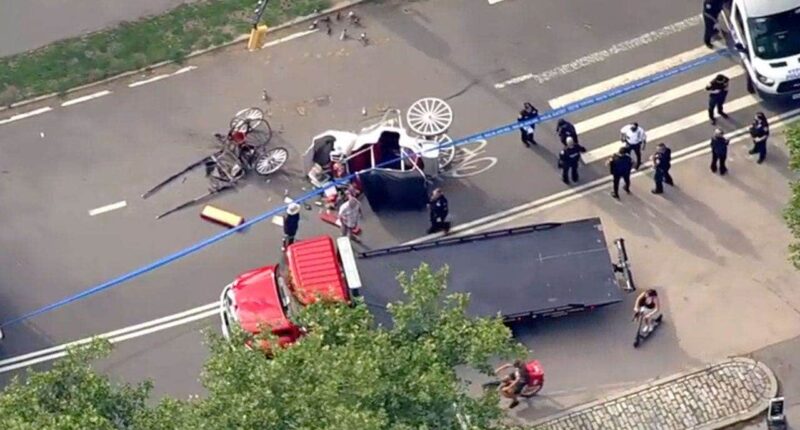 Man killed after horse-drawn carriage bolts and flips near popular New York City tourist destination
