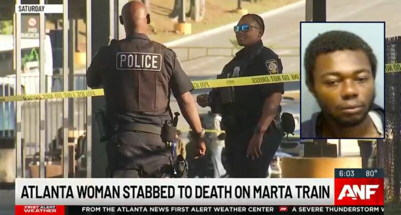 Man stabbed great-grandmother on commuter train: Cops