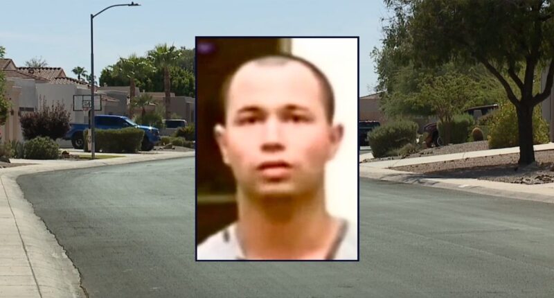 Man went to McDonald's after running over, killing woman: DA