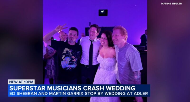Martin Garrix, Ed Sheeran wedding crash: Musicians surprise couple at Adler Planetarium wedding in Chicago after DM request