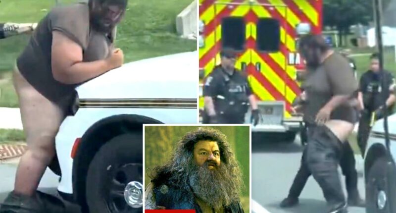 Maryland suspect's pants and underwear fall down during arrest