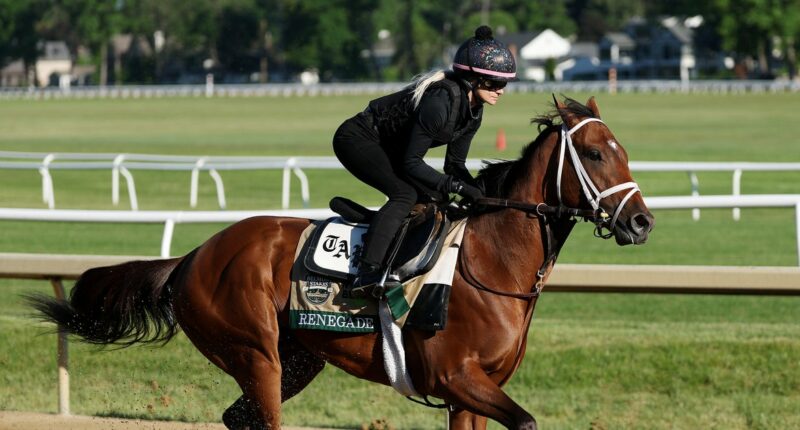 Meet the Belmont Stakes horses running in the 2026 race