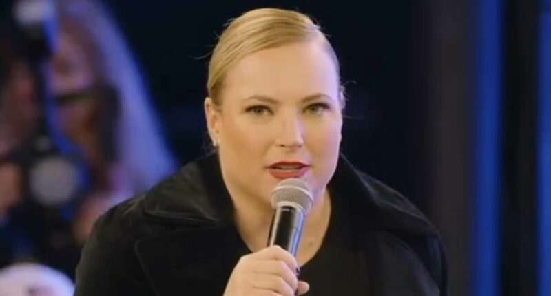 Meghan McCain slams Jimmy Kimmel after he made fun of Spencer Pratt