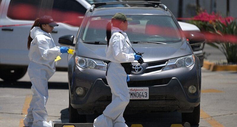 Mexican authorities discover body in trunk near Iranian soccer team's World Cup training grounds: report