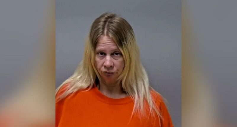 Minnesota driver Shauna Rae Dokken claims dog seized wheel before deadly crash