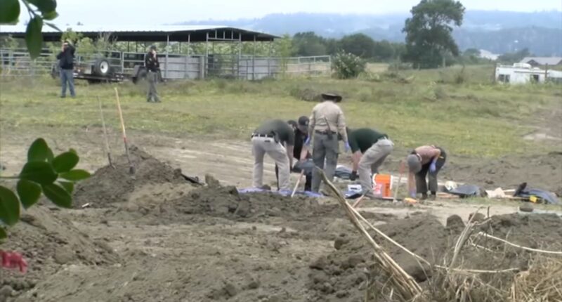 Miranda's Rescue: Over 100 dogs found dead, many with bullet holes in them at Northern California rescue, investigators say
