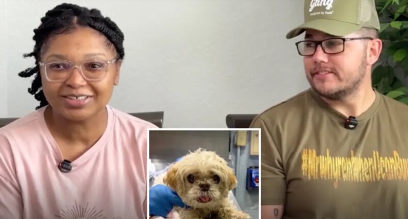 Missing 13-year-old Fla. pup found on Long Island after 2 months