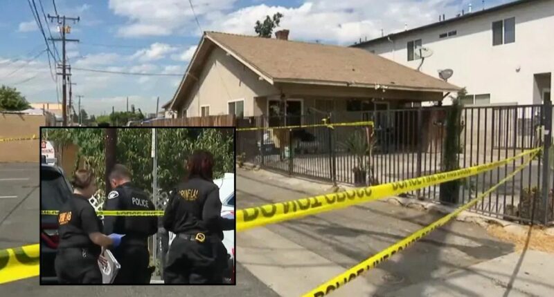 Mom killed 2-year-old, pretended he drowned during bath: DA