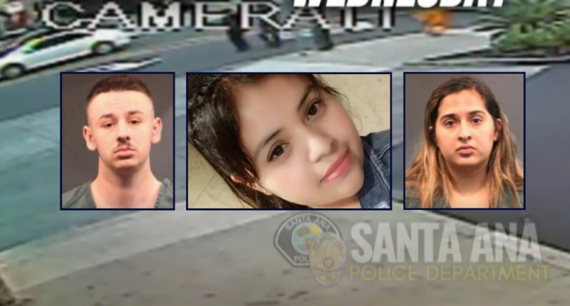Mom of 3 on her way to dinner killed by stray bullet: Cops