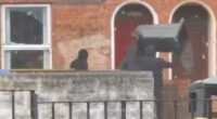 Moment masked thugs smash windows of Belfast house with wheelie bin