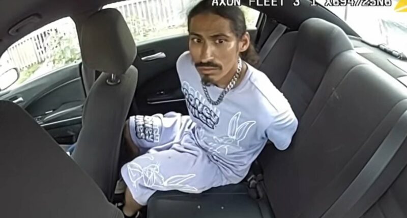 Moment suspect jumps into front seat of police car and DRIVES OFF