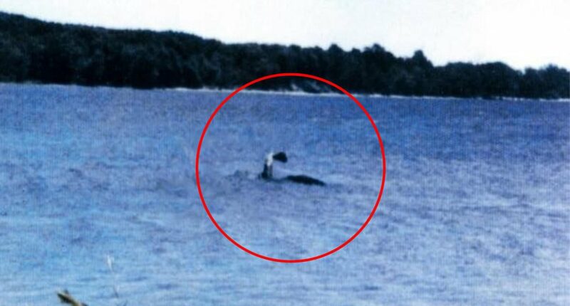 Mystery of America's Nessie deepens as strange creature appears behind boat in chilling video