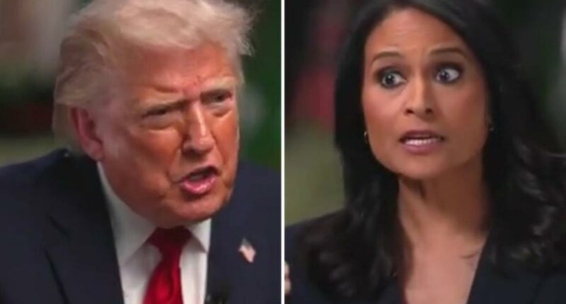 NBC reporter's six-word claim about California elections that sparked Trump storming off