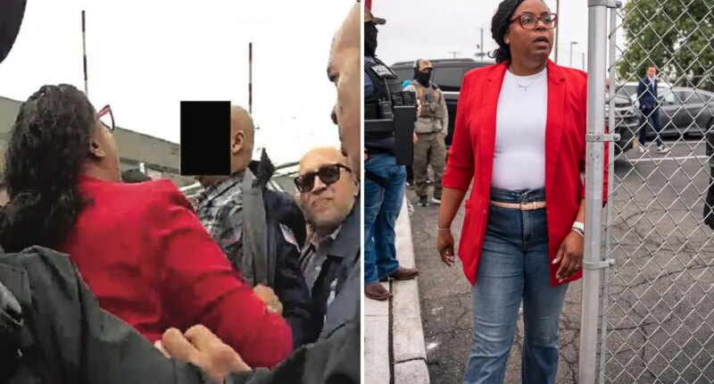 NJ Rep. McIver's 'assault' on cops at ICE protest is protected by free speech, lawyer claims