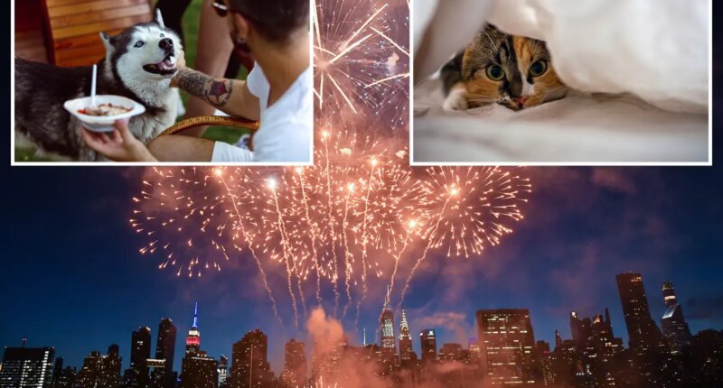 NYC vet reveals how to keep your fur baby safe this Fourth of July