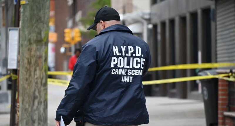 NYPD officer shot, gunman killed after armed barricaded standoff in Brooklyn: police