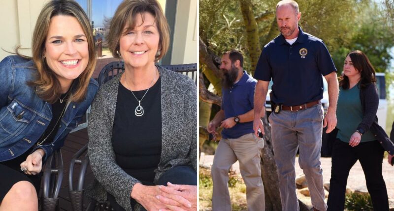 Nancy Guthrie likely targeted by local worker who believed family was wealthy: veteran investigator