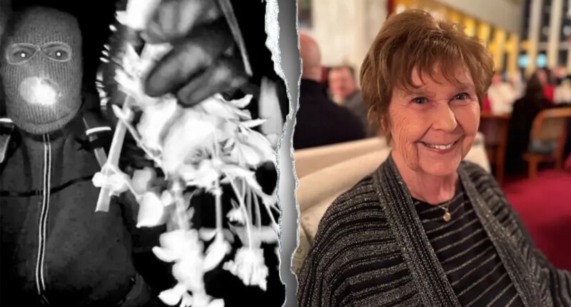 Nancy Guthrie ransom notes don't match suspect's behavior, profiler says: 'I don't believe they're real'