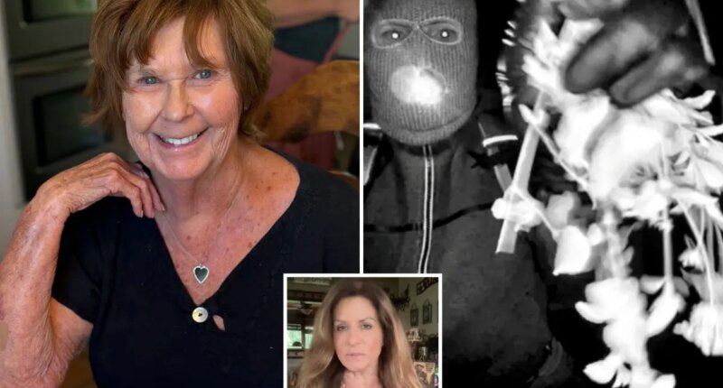 Nancy Guthrie suspect's note is attempt to dodge death penalty, claims ex-FBI agent