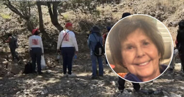 Mexican volunteer group conducts new search for Savannah Guthrie's mother following anonymous tip